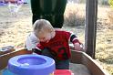 Picture 2894
